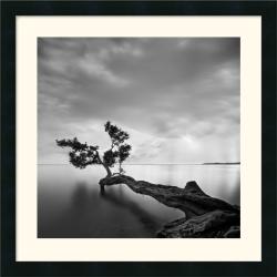 Moises Levy 'Water Tree' Framed Art Print