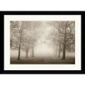 Igor Svibilsky 'Layers of Trees II (Large)' Framed Art Print