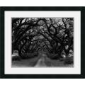 Monte Nagler 'Path in the Oaks 2, Louisiana' Framed Art Print