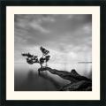 Moises Levy 'Water Tree' Framed Art Print