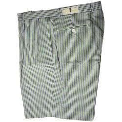 Vardon Men's Blue/ White/ Green Stripe Golf Shorts