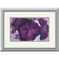 Georgia O'Keeffe 'Petunias, 1925' Framed Art Print