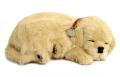 Perfect Petzzz Orange Tabby Lifelike Puppies (Pack of 12)
