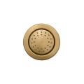 Kohler K-8013-BV Vibrant Brushed Bronze Watertile Round 27-Nozzle Bodyspray