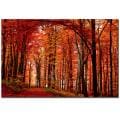 Philippe Sainte-Laudy 'The Red Way' Canvas Art