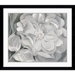 Georgia O'Keeffe 'The White Calico Flower, 1931' Framed Art Print