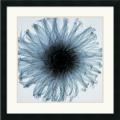 Steven N. Meyers 'Dahlia (blue)' Framed Art Print