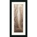 Alan Blaustein 'Poplar Trees' Framed Art Print