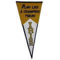 Notre Dame Fighting Irish Classic PLACT Wool Pennant