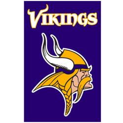 Minnesota Vikings Nylon Banner Flag
