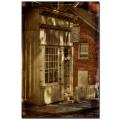 Lois Bryan 'Fine Repairs' Canvas Art