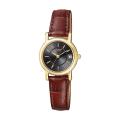 Citizen Eco-Drive Goldtone Women's Watch