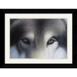 Charles Alexander 'Eyes of the Hunter: Gray Wolf ' Framed Art Print