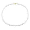 New York Pearls White Akoya Pearl 16-inch Necklace (6-6.5 mm)