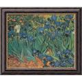 Vincent Van Gogh 'Les Irises (Irises)' Framed Canvas Art
