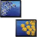 Keith Siddle 'Serenely Under the Sea' Framed 2-piece Canvas Art Set