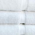 Wellingham 34x70-in Bath Sheets (Case of 24)