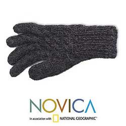 Alpaca Wool 'Lush Gray' Gloves (Peru)