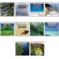 Nature Music CDs