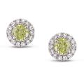 14k White Gold 3/4ct TDW Yellow and White Diamond Earrings (G-H, I1)