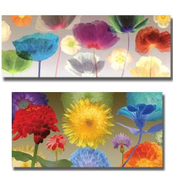 Robert Mertens 'Poppy and Fireworks' 5-piece Canvas Art Set