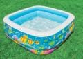 Intex Clearview Aquarium Swimming Pool
