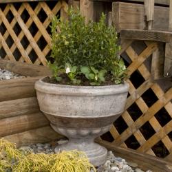 SomerTile Mediterranean Stoneware 15x13-inch Milano Planter