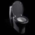 Carbon Fiber Designer Melamine Toilet Seat Cover