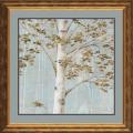 Daphne B 'Birch Study II' Framed Print Art