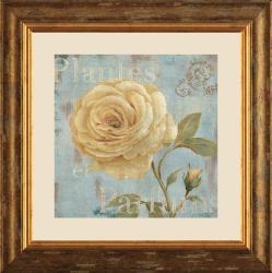 Daphne B 'Vintage Fragrance III' Framed Art Print
