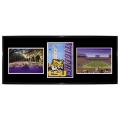 LSU Tigers Metal Wall Hanging Framed Triple Shot Logo