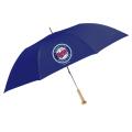 Coopersburg 48-in Minnesota Twins Ballpark Bat Umbrella