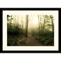 Andy Magee 'Appalachian Trail' Framed Print Art