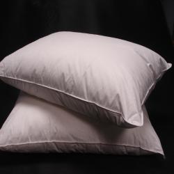 Eco-friendly Down Alternative Pillows (Set of 2)