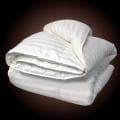 Oversized 500 Thread Count All Season Down Blend Comforter