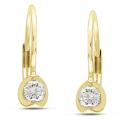 10k Yellow Gold 1/4ct TDW Diamond Leverback Earrings (G-H, I2-I3)