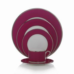 Mikasa Color Studio Fuschia and Platinum 5-piece Dinnerware Set
