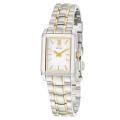Citizen Women's 'Eco-Drive' Stainless and Yellow Goldplated Steel Quartz Watch