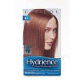 Acquire Brown Hair Fiber Clairol Hydrience #41 Caribbean Caramel, Light Reddish Brown Hair Color (Pack of 4)