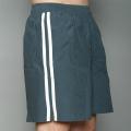 Speedo Men's Grey Twin Stripe Swimsuit