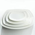 Infinity Monet 12-in Coupe Plates (Pack of 12)