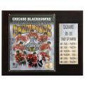 Chicago Blackhawks 2010 Stanley Cup Champion 12x15 Cherry Wood Plaque
