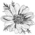 Magenta Cling Flowers Stamp