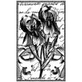 Magenta 'Iris' Cling Stamps