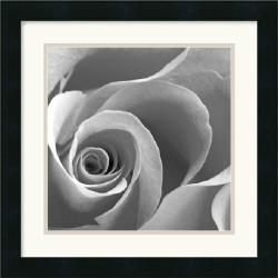 'Rose Spiral II' Framed Art Print