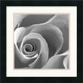 'Rose Spiral II' Framed Art Print