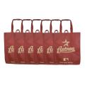 Houston Astros Reusable Bags (Pack of 6)