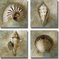 Keith Mallett 'Seaside Shells' 4-piece Canvas Art Set