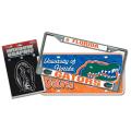 Florida Gators Automotvie Detail Pack