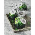 Martha Stewart Spiderweb Cello Treat Bags (Pack of 6)